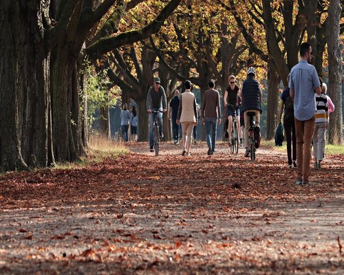 People walking in a sunny park